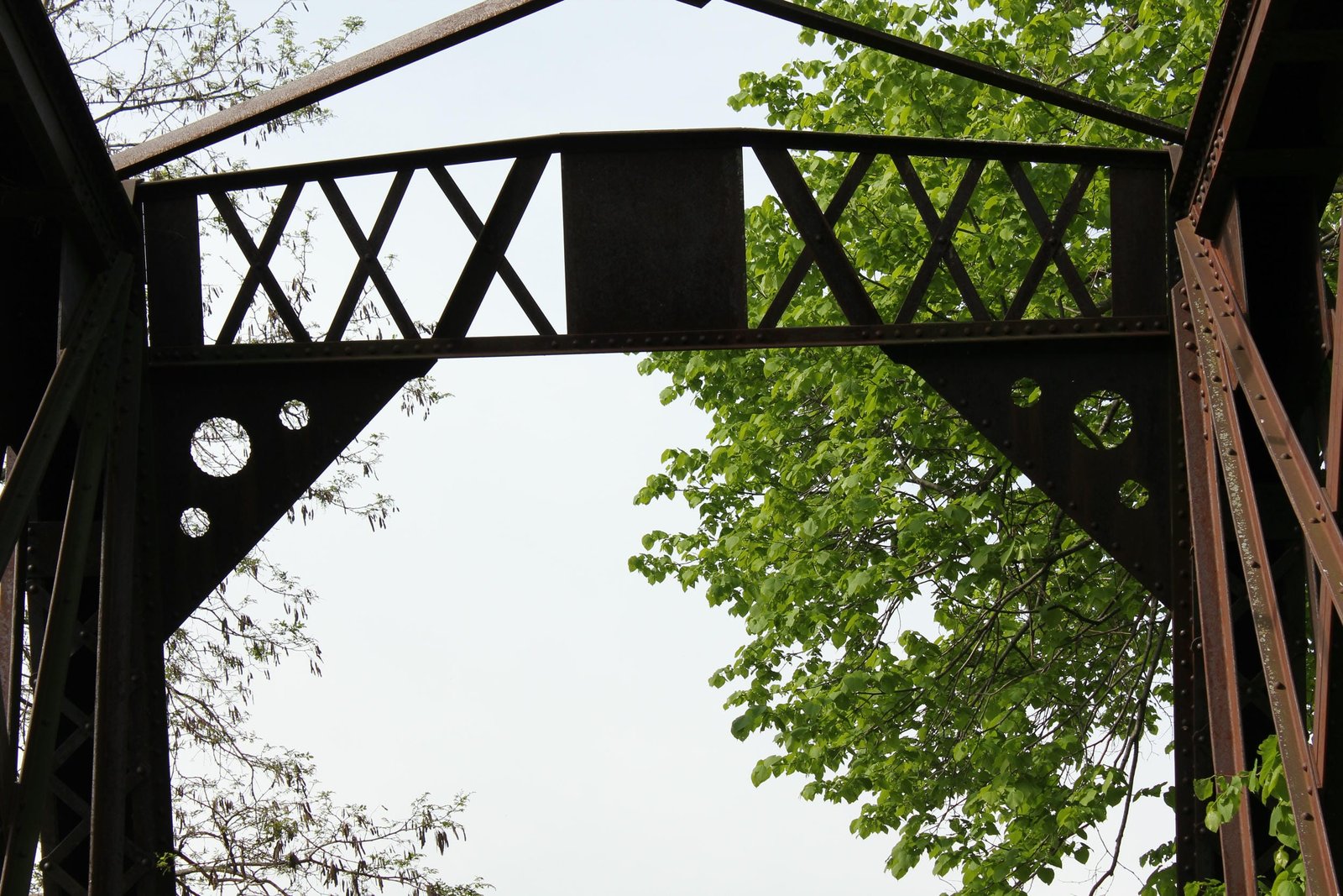 Portal bracing